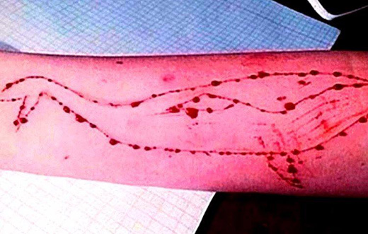 	Blue Whale